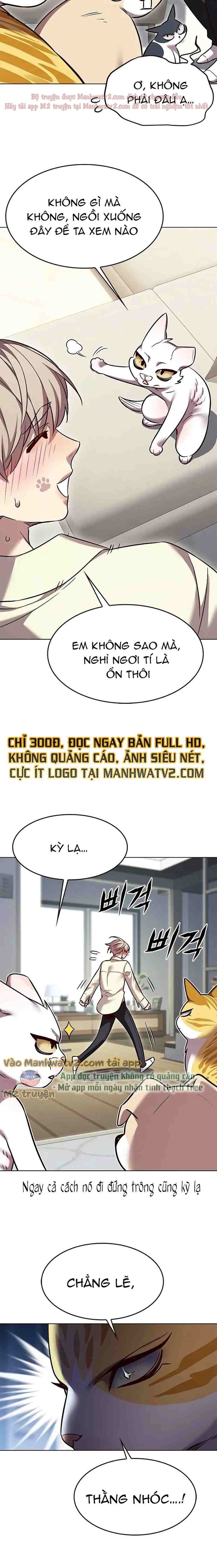 Đọc truyện Hóa thân thành mèo (Bản Free) - Chap 304